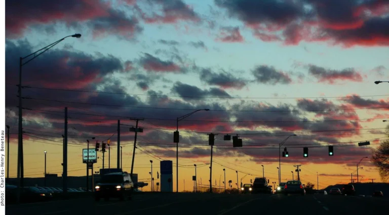 Immensity of the Territory : Le Road-Movie Musical et Sensoriel du Trio Nantais